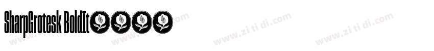 SharpGrotesk BoldIt字体转换